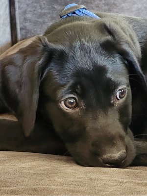 Photo of team member